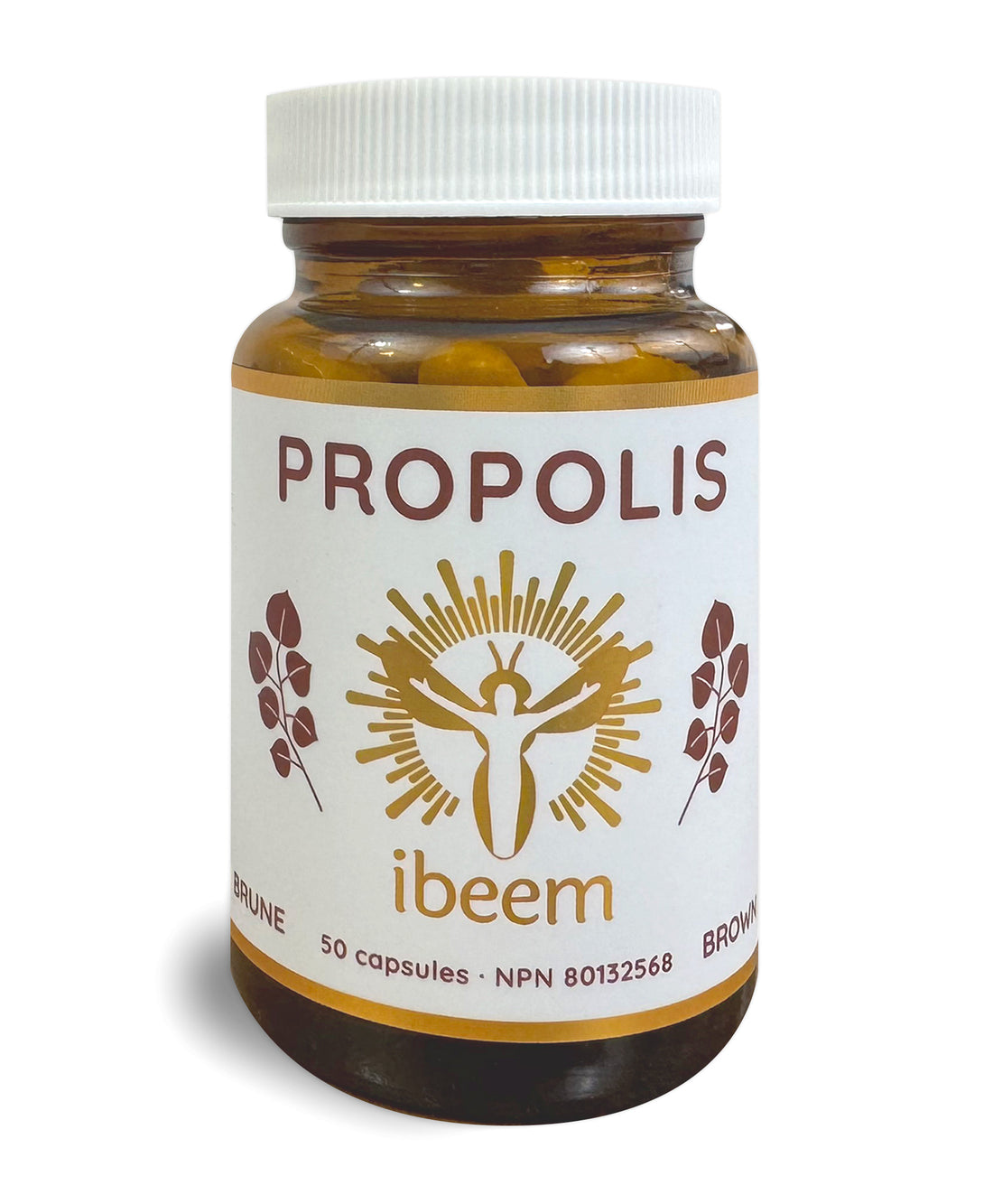 Brown Propolis Capsules from Poplar